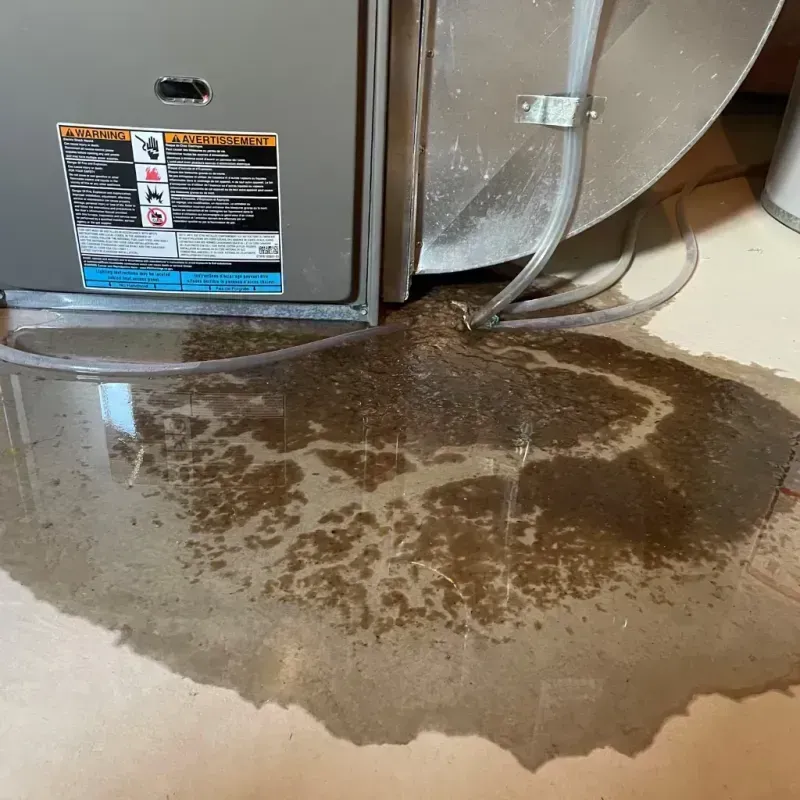 Appliance Leak Cleanup in Spring Valley, NV